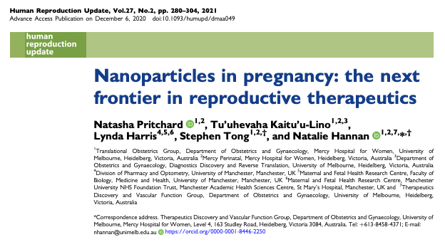 ¿Nanopartículas en Reproducción Asistida?